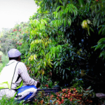 Screenshot-2025-04-30-183534-300x300