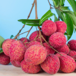 Screenshot-2025-04-30-183640-300x300